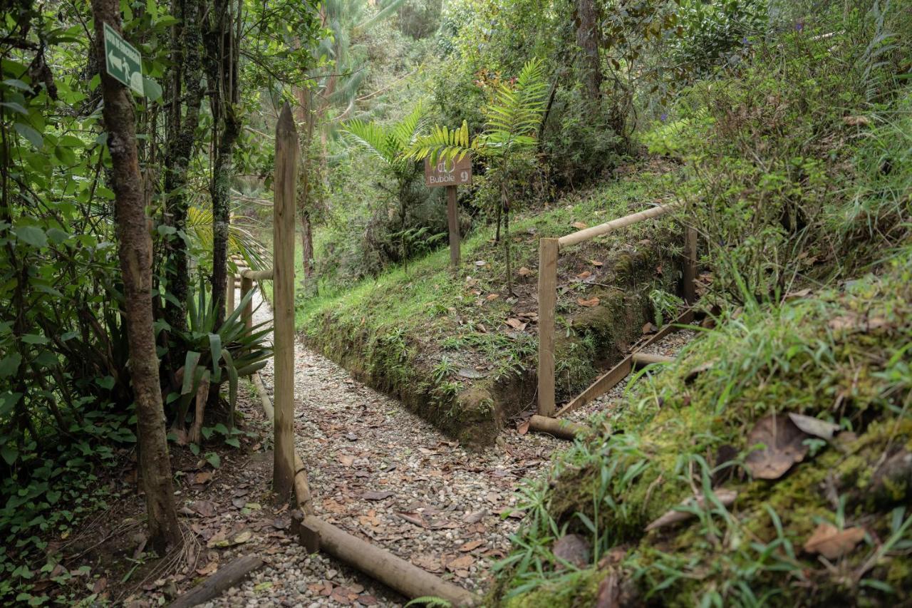 Hotel Bubblesky Glamping 40 Min From Medellin à El Retiro  Extérieur photo