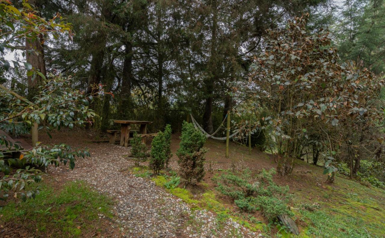 Hotel Bubblesky Glamping 40 Min From Medellin à El Retiro  Extérieur photo