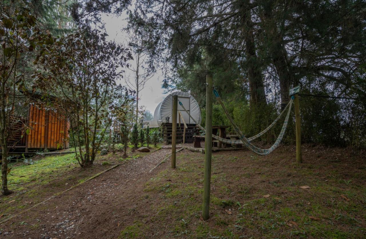 Hotel Bubblesky Glamping 40 Min From Medellin à El Retiro  Extérieur photo